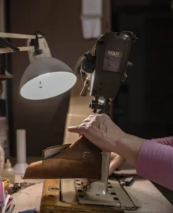 goldenbeeshoes-0003-01